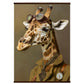 f9de4361-7aed-42ad-a077-f6d12863f178
